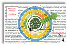 hrbizwheel.png